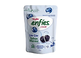 Yayla Enfies Yaban Mersini 15 gr.